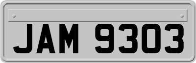 JAM9303