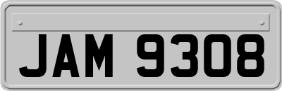JAM9308