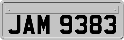 JAM9383