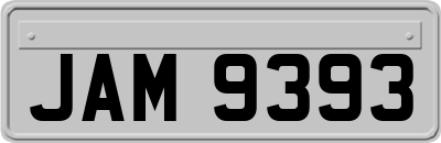 JAM9393