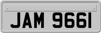 JAM9661