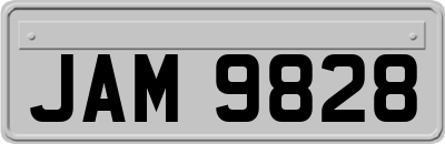 JAM9828