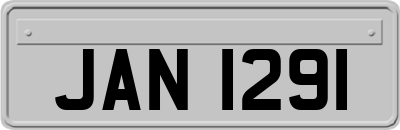 JAN1291