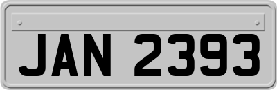 JAN2393