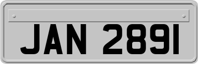 JAN2891