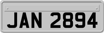 JAN2894