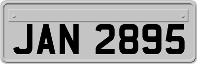 JAN2895