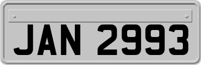 JAN2993