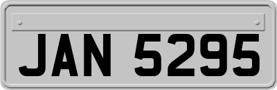 JAN5295