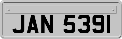 JAN5391