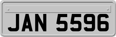 JAN5596