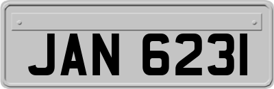 JAN6231