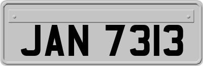 JAN7313