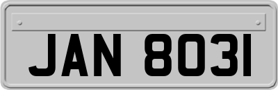JAN8031