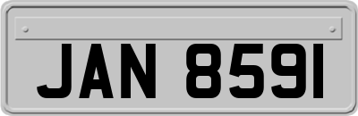 JAN8591