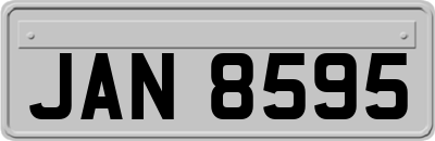 JAN8595
