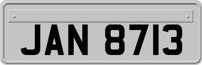 JAN8713