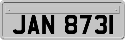 JAN8731