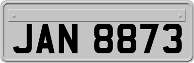 JAN8873