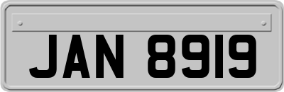 JAN8919