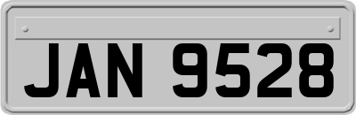 JAN9528