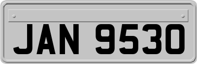 JAN9530