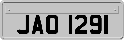 JAO1291