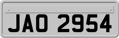 JAO2954