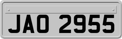 JAO2955