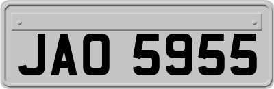 JAO5955
