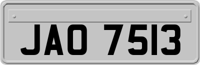 JAO7513