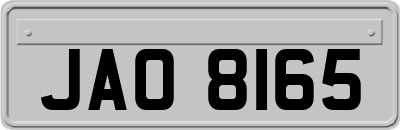 JAO8165