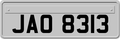 JAO8313