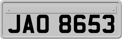 JAO8653