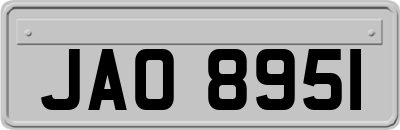 JAO8951