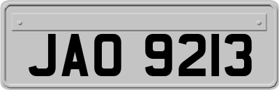 JAO9213