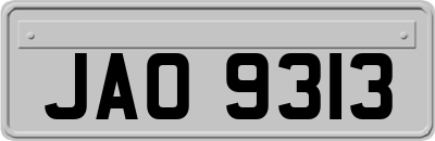 JAO9313