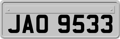 JAO9533