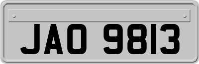 JAO9813