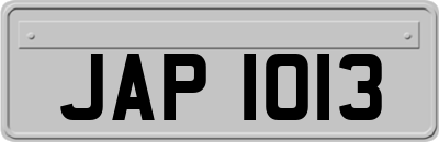 JAP1013