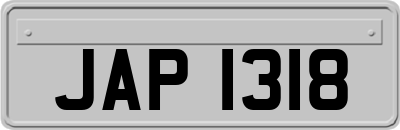 JAP1318