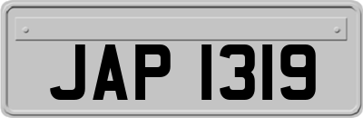 JAP1319