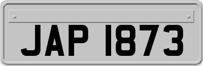 JAP1873