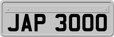 JAP3000