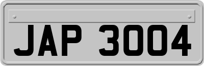 JAP3004