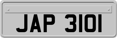 JAP3101