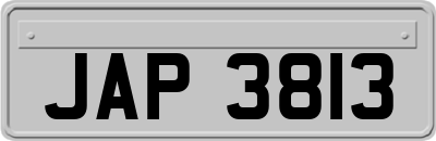 JAP3813