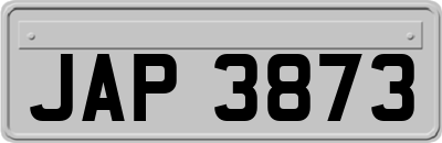 JAP3873