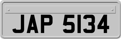 JAP5134