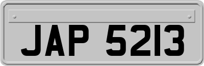 JAP5213